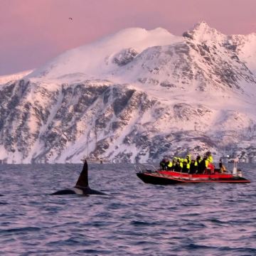 芬兰+挪威8日6晚自由行