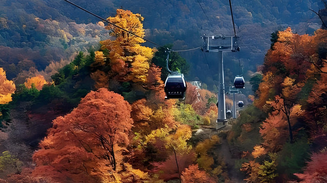 成都口碑好的旅行社有哪些？真实评价榜，这 5家被游客夸爆了