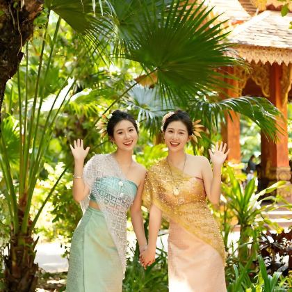 云南西双版纳+望天树6日5晚拼小团