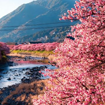 日本北海道+带广+阿寒湖+网走+札幌6日5晚私家团