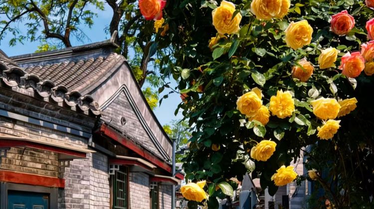 3D2N · Private Tours · Special Offer: Beijing Classic Tour & Simatai Great Wall