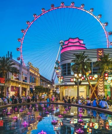 7D6N • Los Angeles + High Roller Observation Wheel + Grand Canyon National Park + Palm Springs + Los Angeles In-Depth City Tour · One Vehicle Throughout 