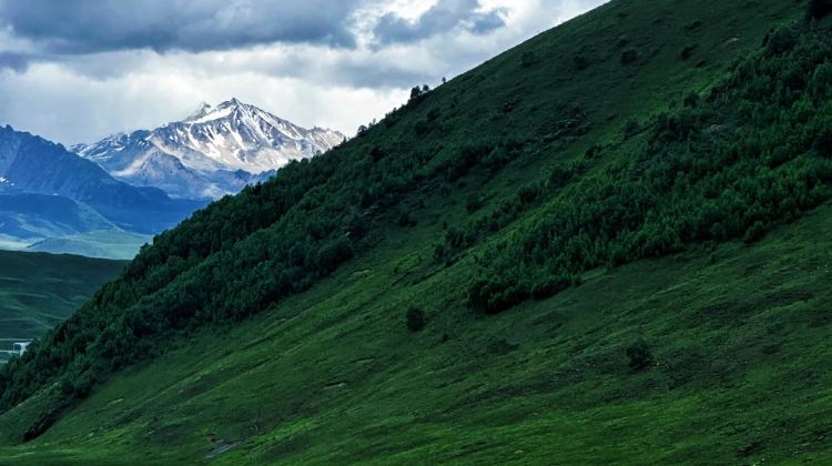 5D4N · Private Tours · Western Sichuan for Nature Lovers: Daocheng Yading, Mount Siguniang, Xinduqiao & Yuzixi - Snow Mountains, Tibetan Grasslands & Starry Skies
