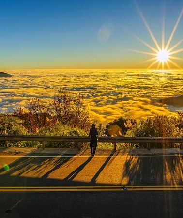 2D1N • Alishan Taiwan 2 Day Private Tour from Taipei