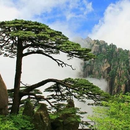 黄山+宏村2日1晚跟团游