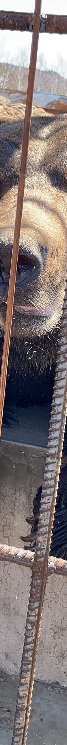 九峰山养心谷旅游度假区-伊春