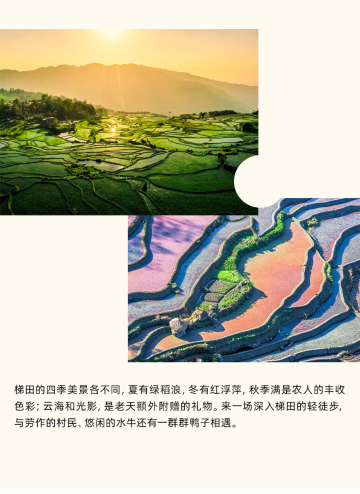 筑梦」奢榻东风韵美憬阁 万缮梯田酒店——走进奇妙的"万花筒"建筑群