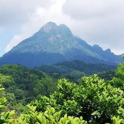 中国海南五指山五指山水满河热带雨林风景区2日1晚跟团游