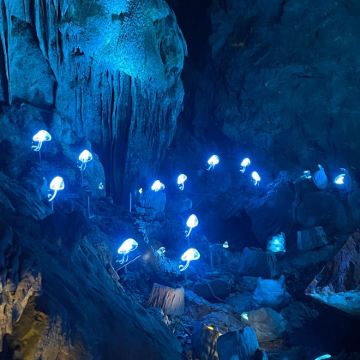 OMG心跳乐园3日2晚私家团