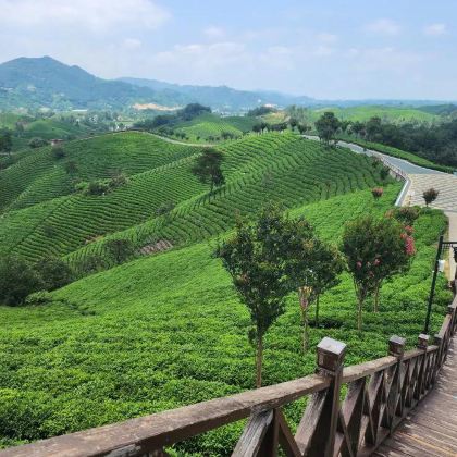 河南信阳3日2晚私家团