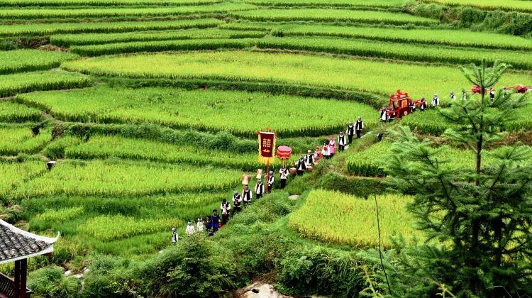 7-Day In-depth Guizhou Tour· Guiyang, Longli Ancient Town, Ouli Miao Village,  Wendou Miaozhai,Yaoguang Dong Village, Pingqiu Village | Bonfire Party