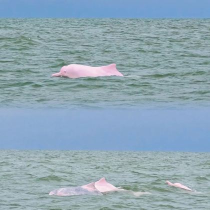 钦州+三娘湾+八寨沟2日1晚私家团