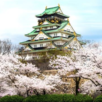 日本大阪+和歌山市+白滨町7日6晚私家团