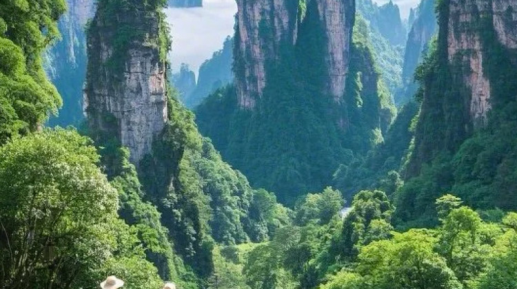 张家界+武陵源+大峡谷+天门山3日2晚跟团游·【云峤潇湘】升级2-6人纯玩 景交1价全含0自费+赠魅力湘西晚会【免费升级山顶民宿观日出云海】7大VIP快速通 〓双5A·7455米长索道&玻璃桥，赠百龙天梯+天子山索道+杨家界索道