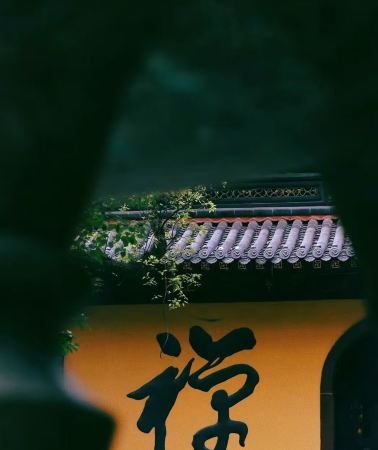 3日2晚 • 溪口滕頭旅遊風景區「雪窦山-蒋氏故居」「普陀山風景區」寧波3天2夜跟團遊