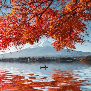 日本东京+富士山+大阪+京都+奈良市9日8晚拼小团