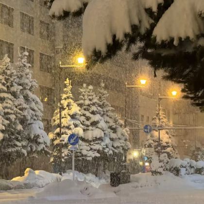 札幌+小樽+比罗夫滑雪场6日5晚私家团