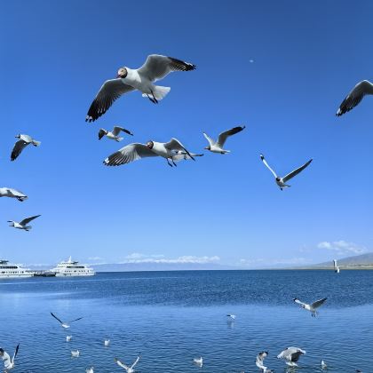 西宁+可可西里国家级自然保护区+茫崖翡翠湖+茫崖艾肯泉9日8晚私家团