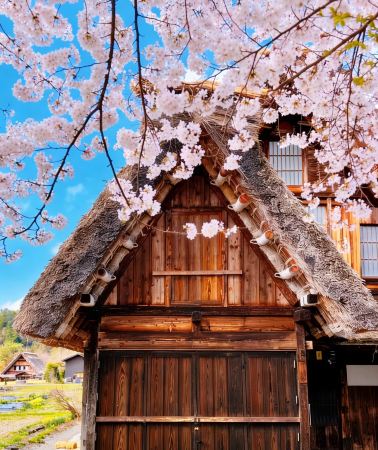 5D4N • Japan + Nagoya + Takayama Village + Kanazawa + Gero