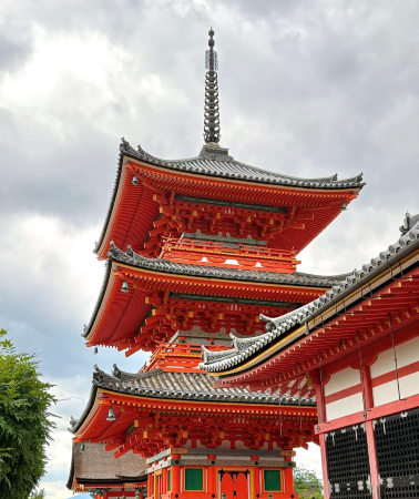 7D6N • Japan + Osaka + Kyoto + Tokyo + Mount Fuji + Kamakura City