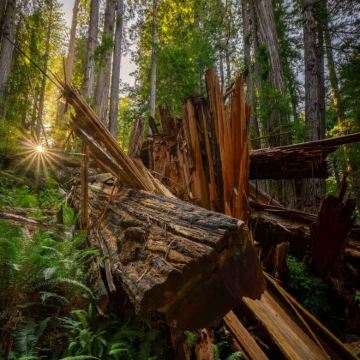 美国西雅图+旧金山3日私家团