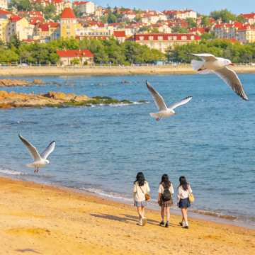 青岛4日3晚自由行