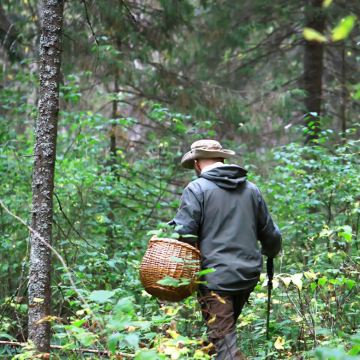 哈尔滨＋横道河子＋抚远黑瞎子岛旅游区＋佳木斯6日5晚跟团游