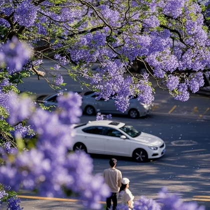 昆明+抚仙湖+建水+元阳+普者黑景区+弥勒6日5晚私家团