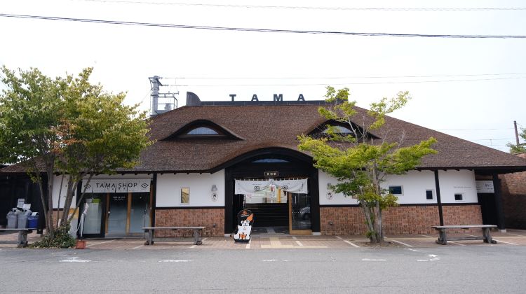 大阪+7