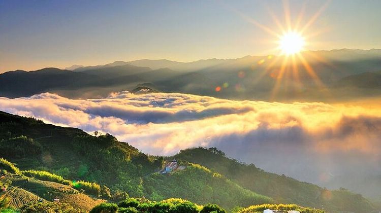 2D1N · Group Tours · Alishan 2Day Shared Tour from Taipei