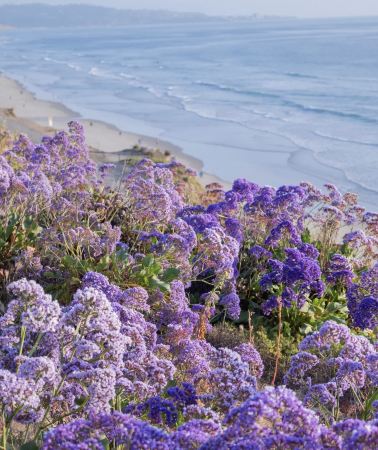 13D12N • Coastal Scenery & Grand Canyon Wonder · Los Angeles + San Francisco + Las Vegas + California Highway 1