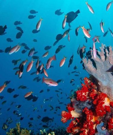 4D3N • Private tour 4 days 3 nights Komodo on boat, waterfall and Rangko cave