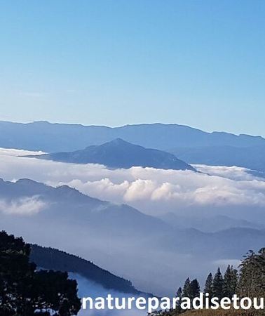 2D1N • Exclusive knuckles Camping Tour from kandy