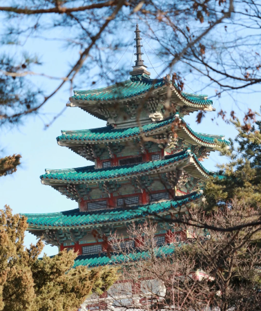 6D5N • Seoul's Classic Gyeongbokgung Palace Route·Experience the Charm of Historical Culture, Hotel Pickup in City Center