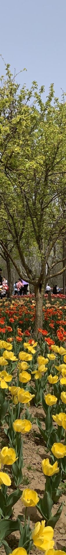 郑州中国绿化博览园-中牟