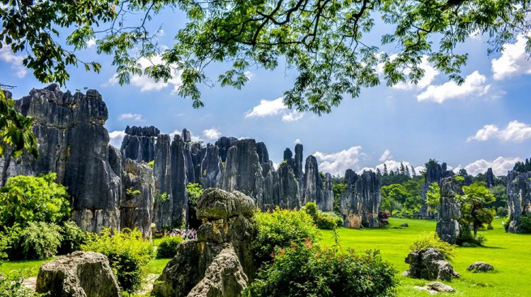 8-Day No surcharge for Christmas & Flexible and adjustable itinerary: Kunming + Dali + Lijiang + Shangri-La - 3 UNESCO Wonders + Private Vehicle + Attraction Tickets + 2 High-Speed Train Experiences