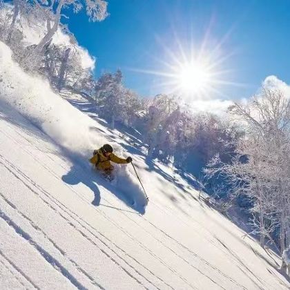 滑雪·北海道星野TOMAMU度假村滑雪场+阿寒湖+层云峡+小樽7日6晚私家团