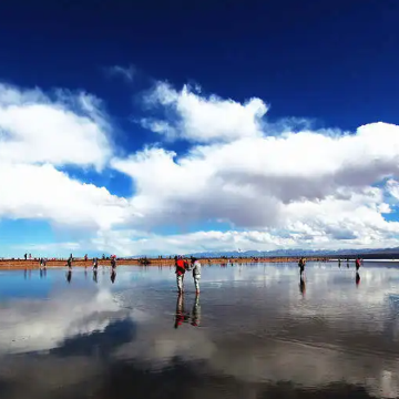 青海西宁+青海湖+茶卡盐湖+门源+祁连+张掖+敦煌+鸣沙山月牙泉+莫高窟8日7晚跟团游