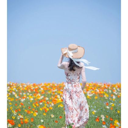 厦门+鼓浪屿+泉州+福建土楼4日3晚跟团游