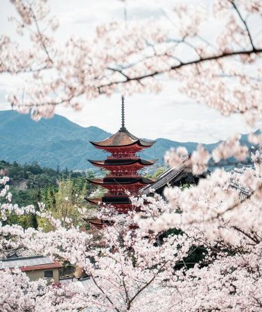 4D3N • Japan, Osaka, Kyoto