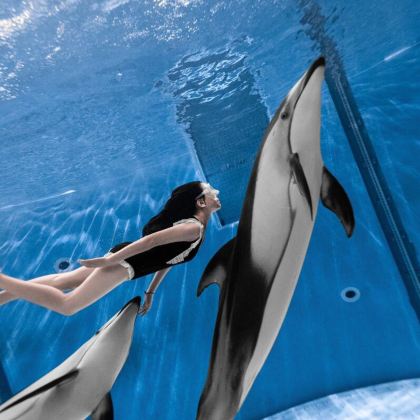 三亚+西沙群岛+大小洞天+海南槟榔谷黎苗文化旅游区7日6晚私家团