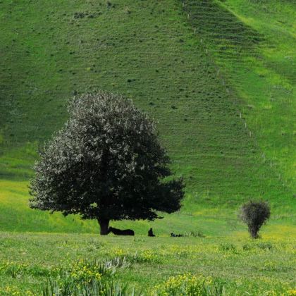 新疆北疆4日3晚私家团
