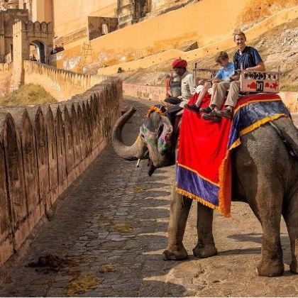 新德里+阿格拉+斋浦尔+伦腾博尔国家公园9日8晚跟团游