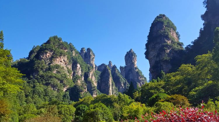 5D4N · Group Tours ·  Changsha to Zhangjiajie & Fenghuang with Miao Costume Experience·English-speaking guide, 5-diamond hotels throughout, Complimentary e-SIM.