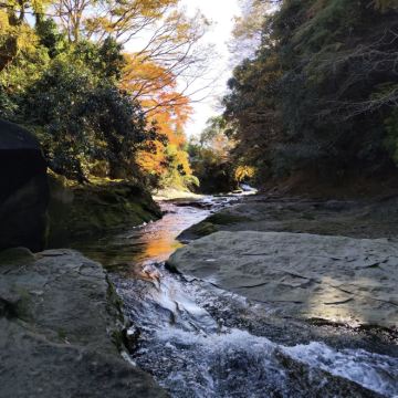 日本东京+千叶+茨城6日5晚拼小团