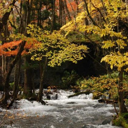 日本青森县+秋田县6日5晚自由行