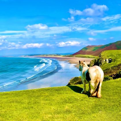 英国伦敦+卡迪夫+斯旺西+彭布罗克郡海岸线国家公园+牛津7日6晚拼小团