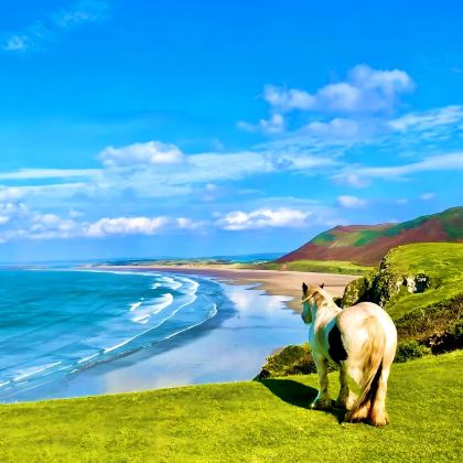 英国伦敦+卡迪夫+斯旺西+彭布罗克郡海岸线国家公园+牛津7日6晚拼小团