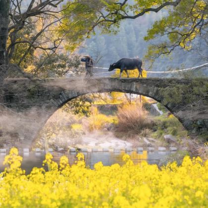 江西南昌+庐山+景德镇+望仙谷+三清山风景区+婺源6日5晚拼小团
