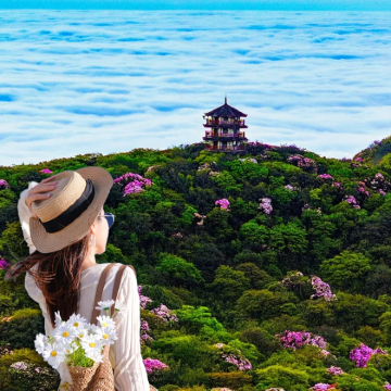 重庆+武隆区4日3晚拼小团